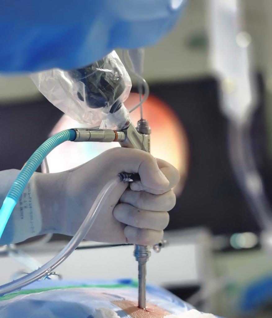 WhatsApp Image 2023-10-21 at 10.49.05